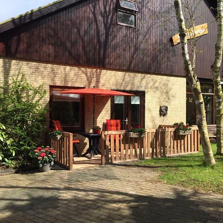 De Vier Berken 2 Bed & Breakfast De Koog  Dış mekan fotoğraf